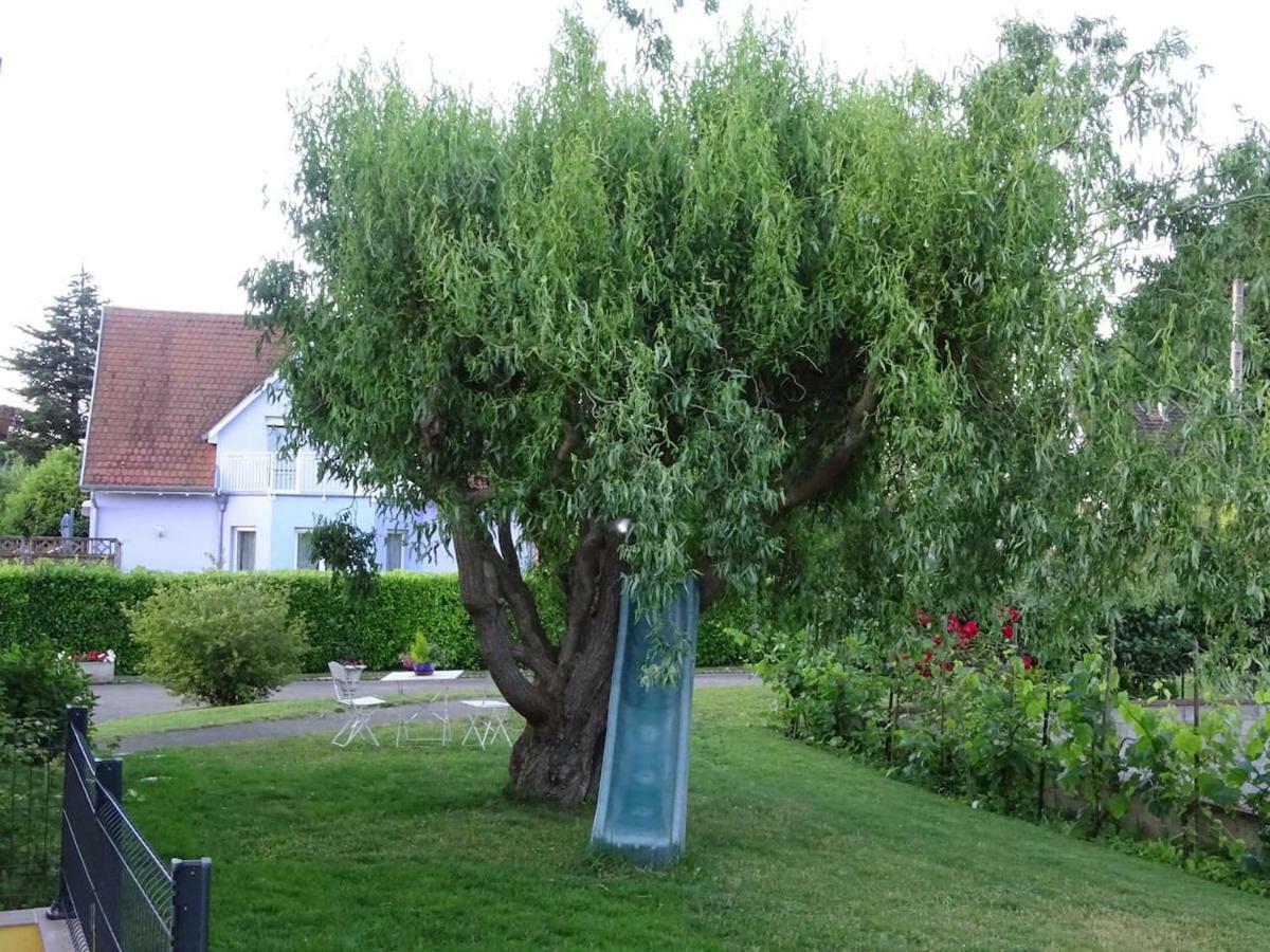 Tiny-House Wihr-au-Val Exterior foto